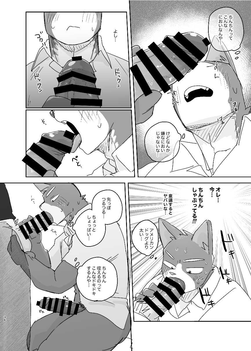 Page 36