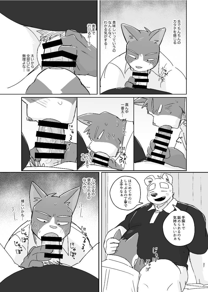 Page 37