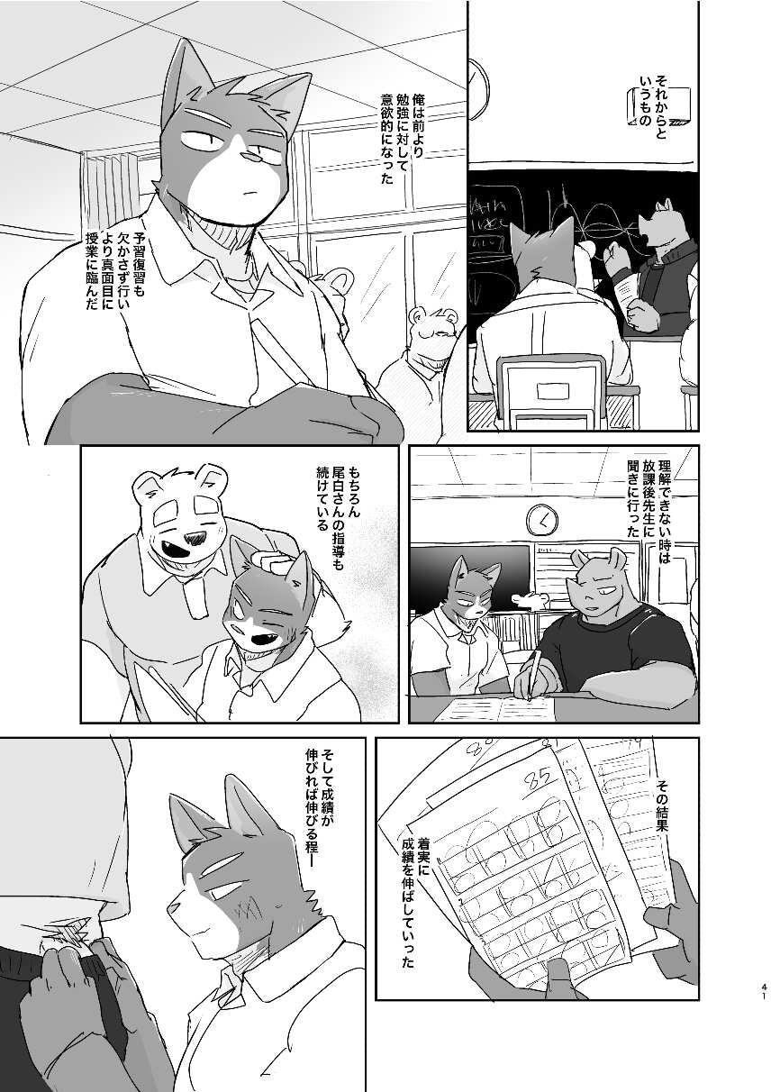 Page 41