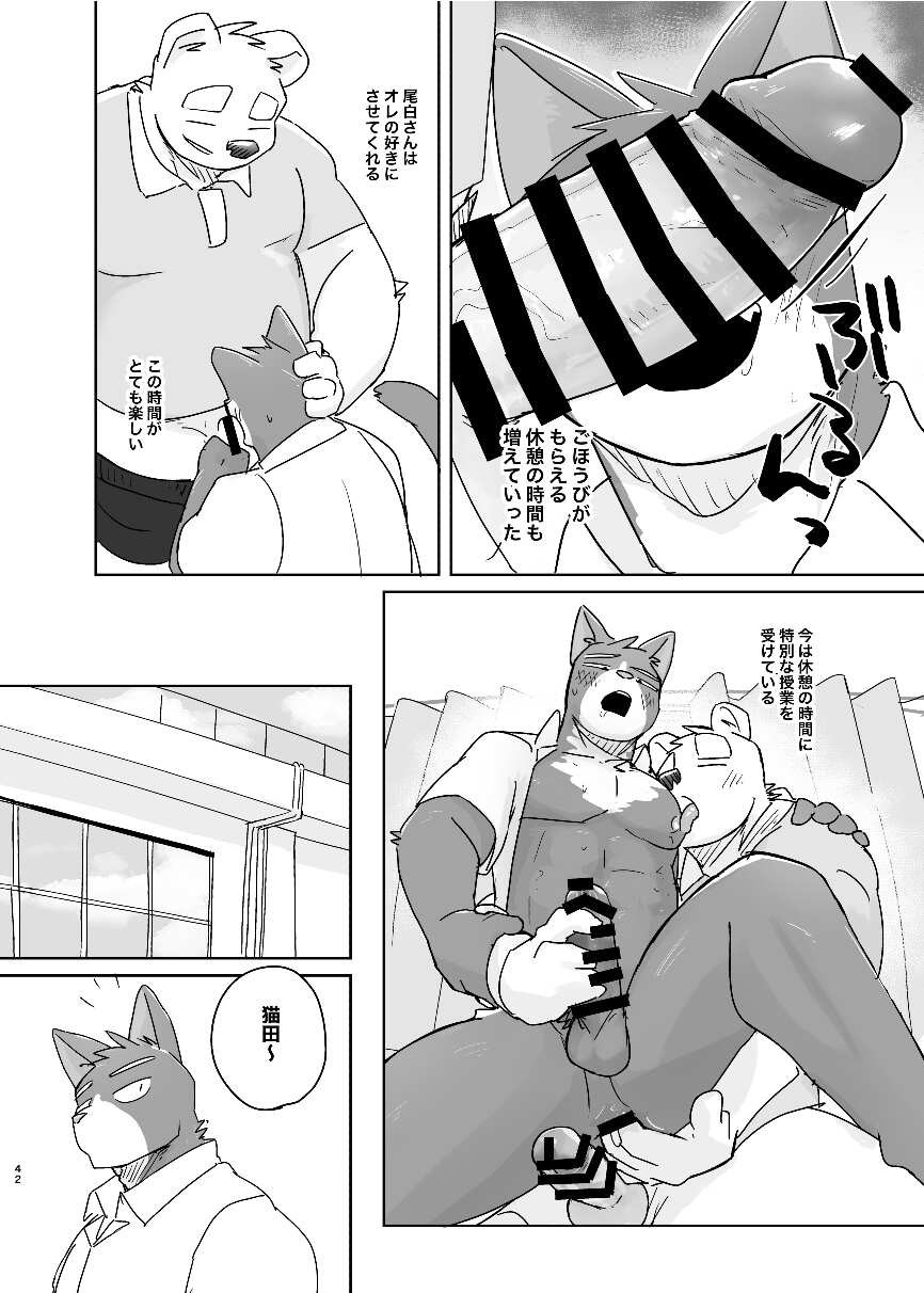 Page 42
