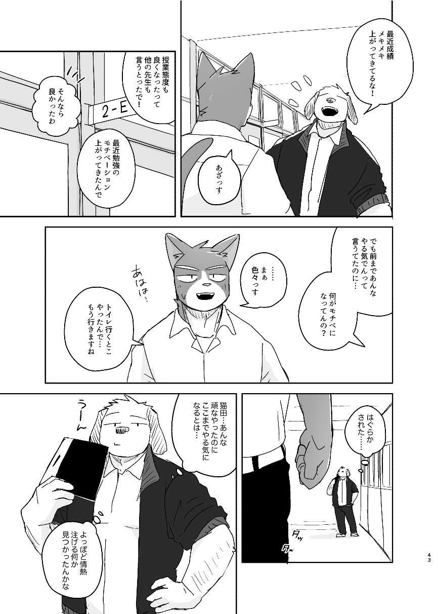 Page 43