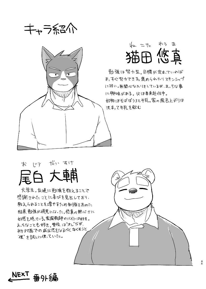 Page 45