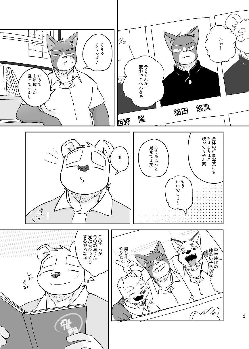 Page 47