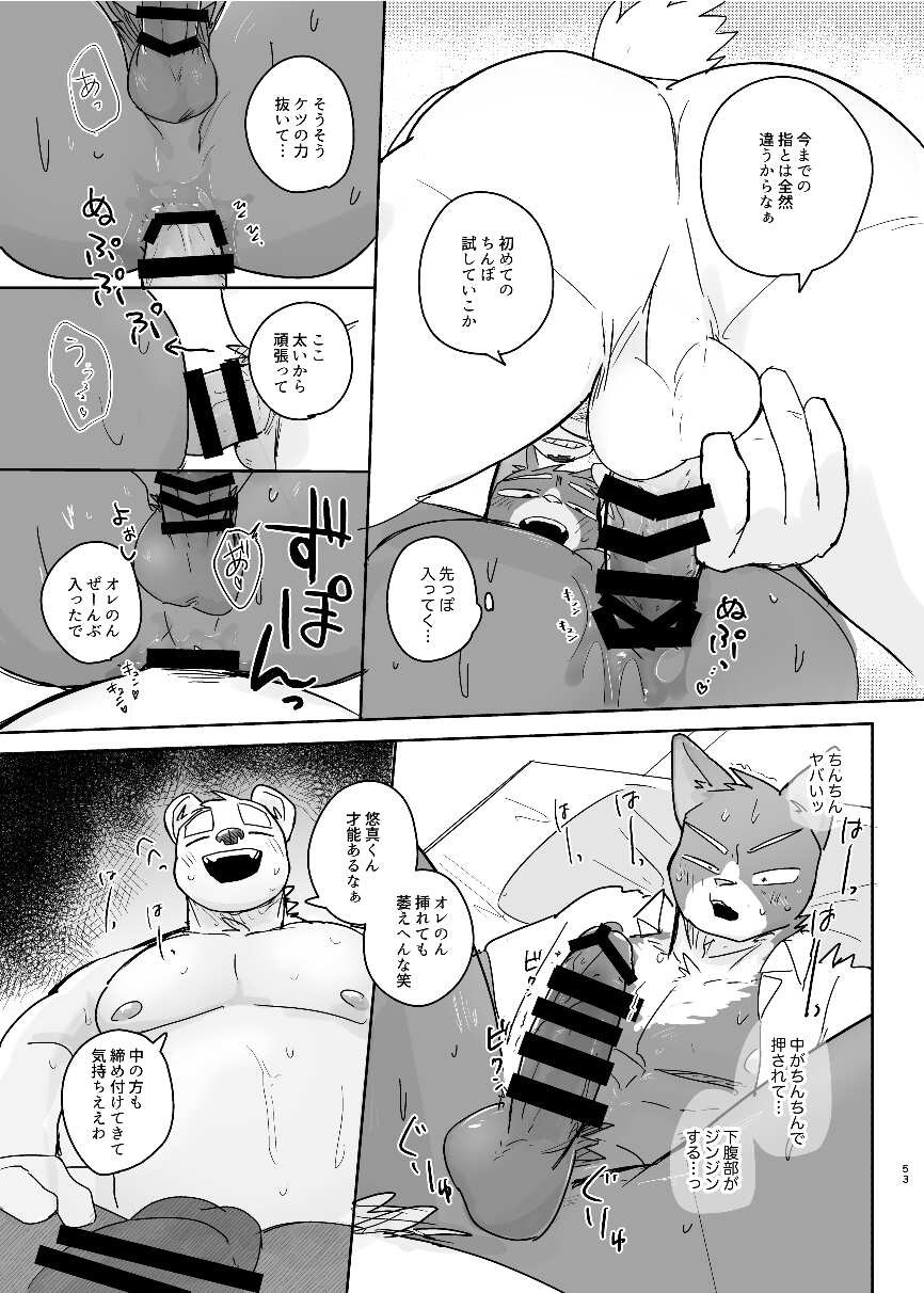 Page 53