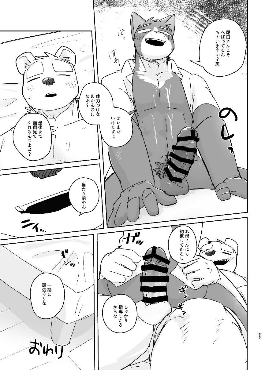 Page 63