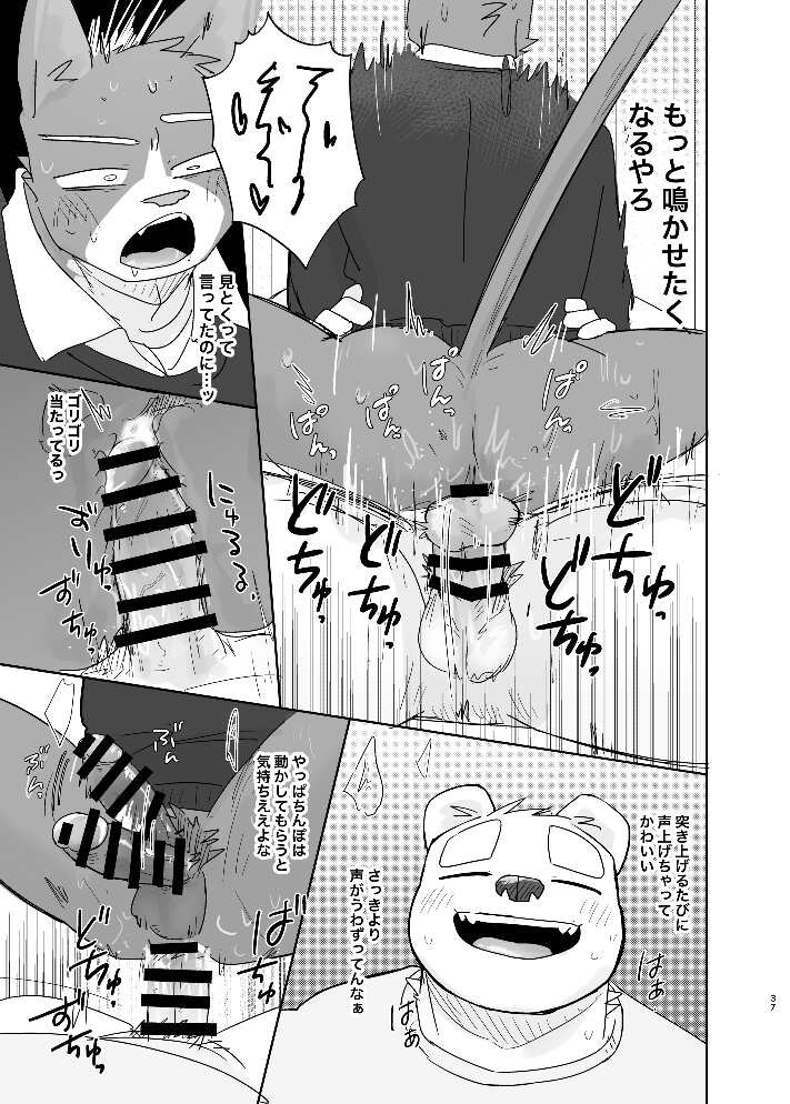 Page 37