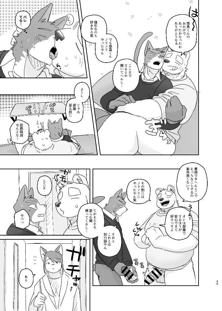 Page 45