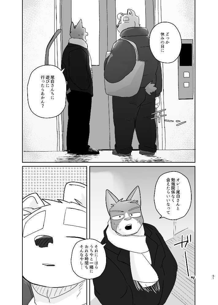 Page 51