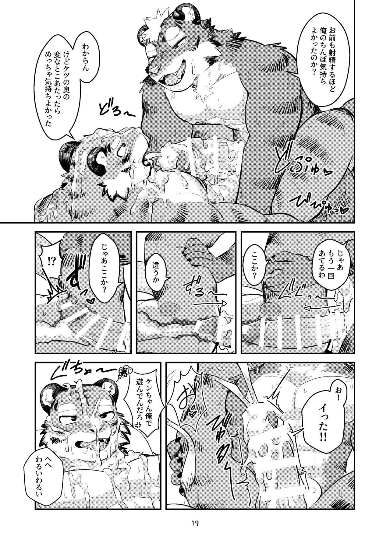 Page 19
