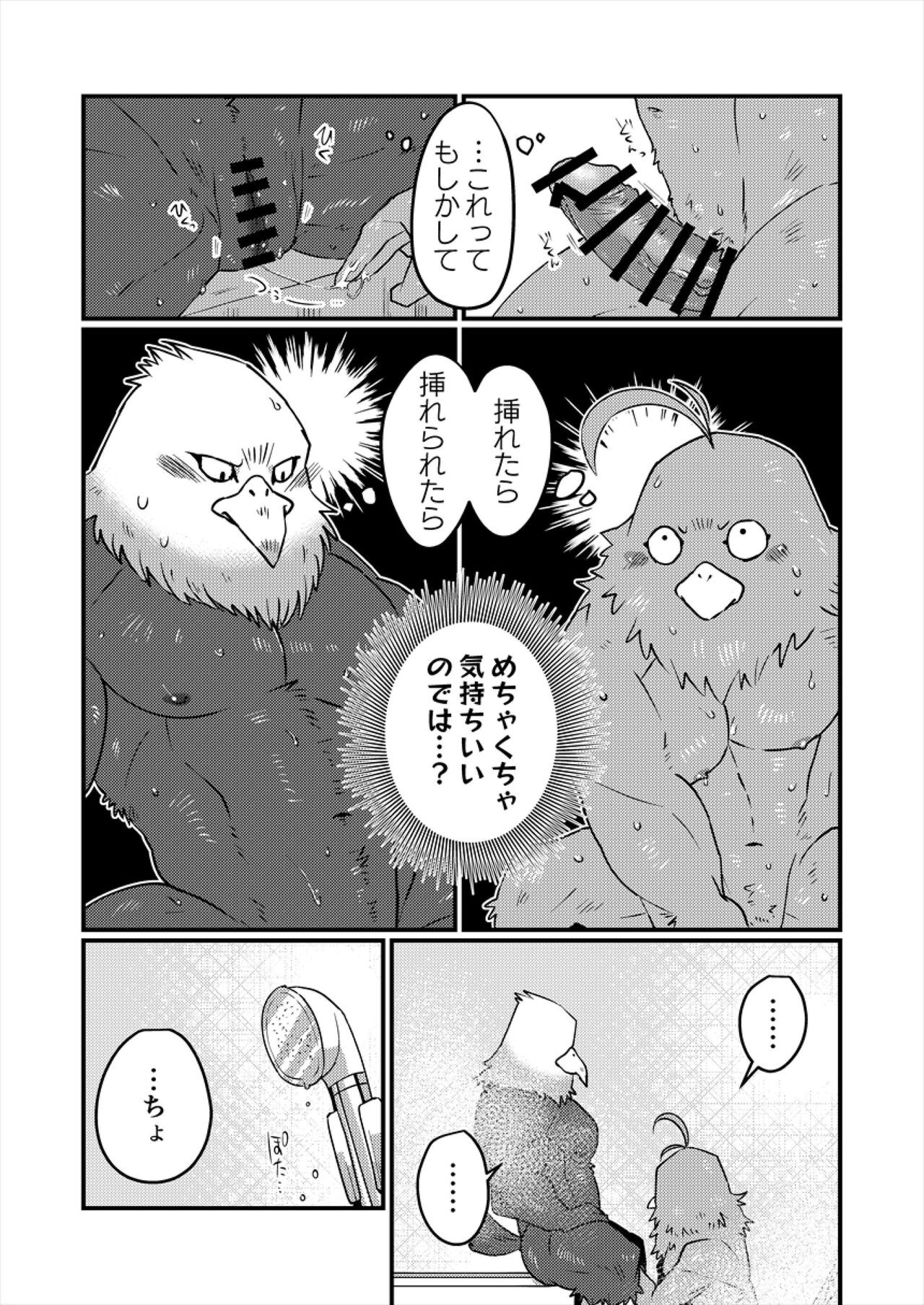 Page 41