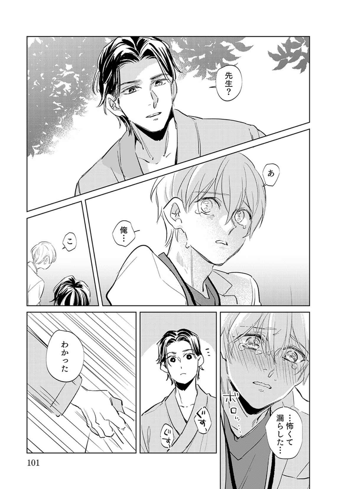 Page 101