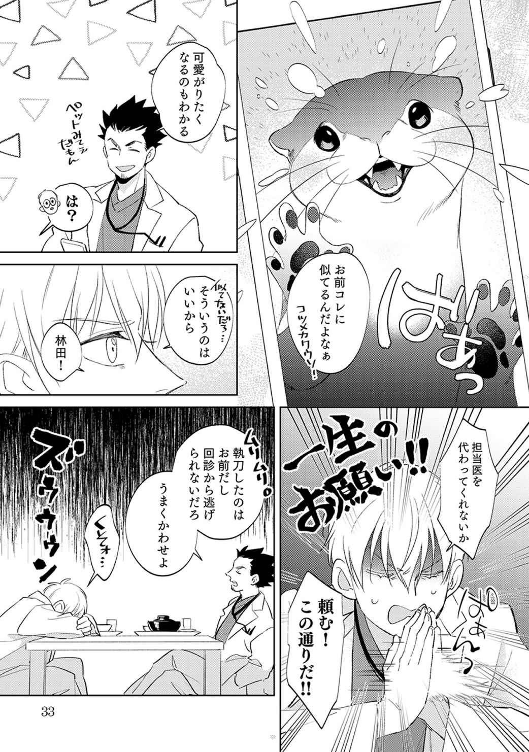 Page 33