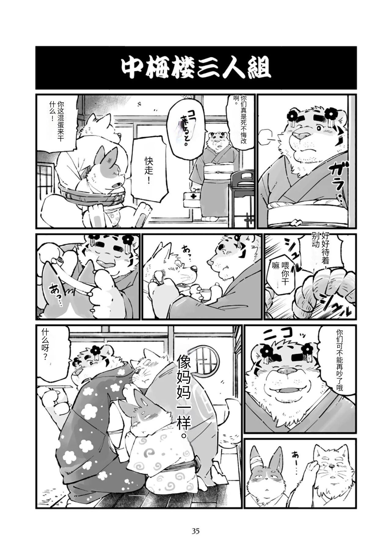 Page 35