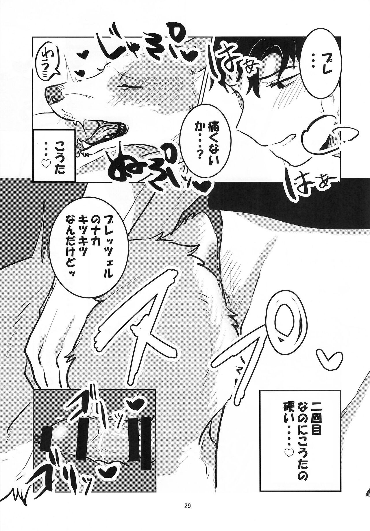 Page 29
