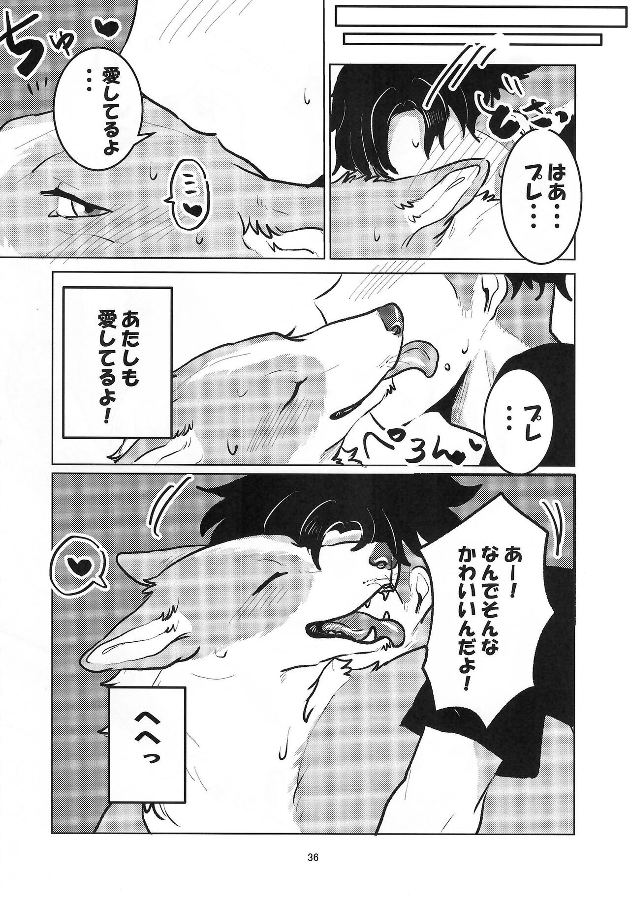 Page 36