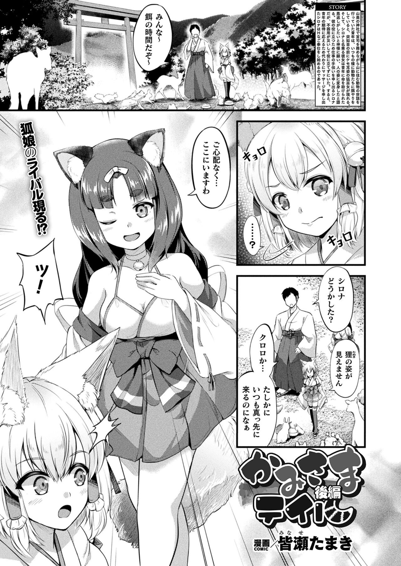 Page 261