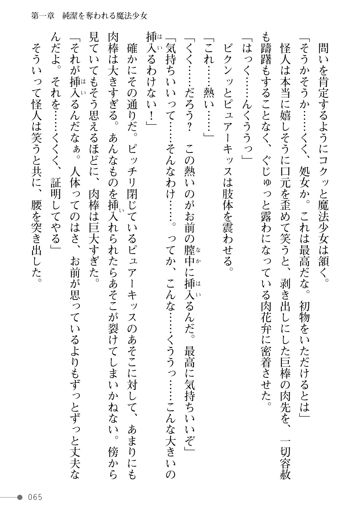 Page 65