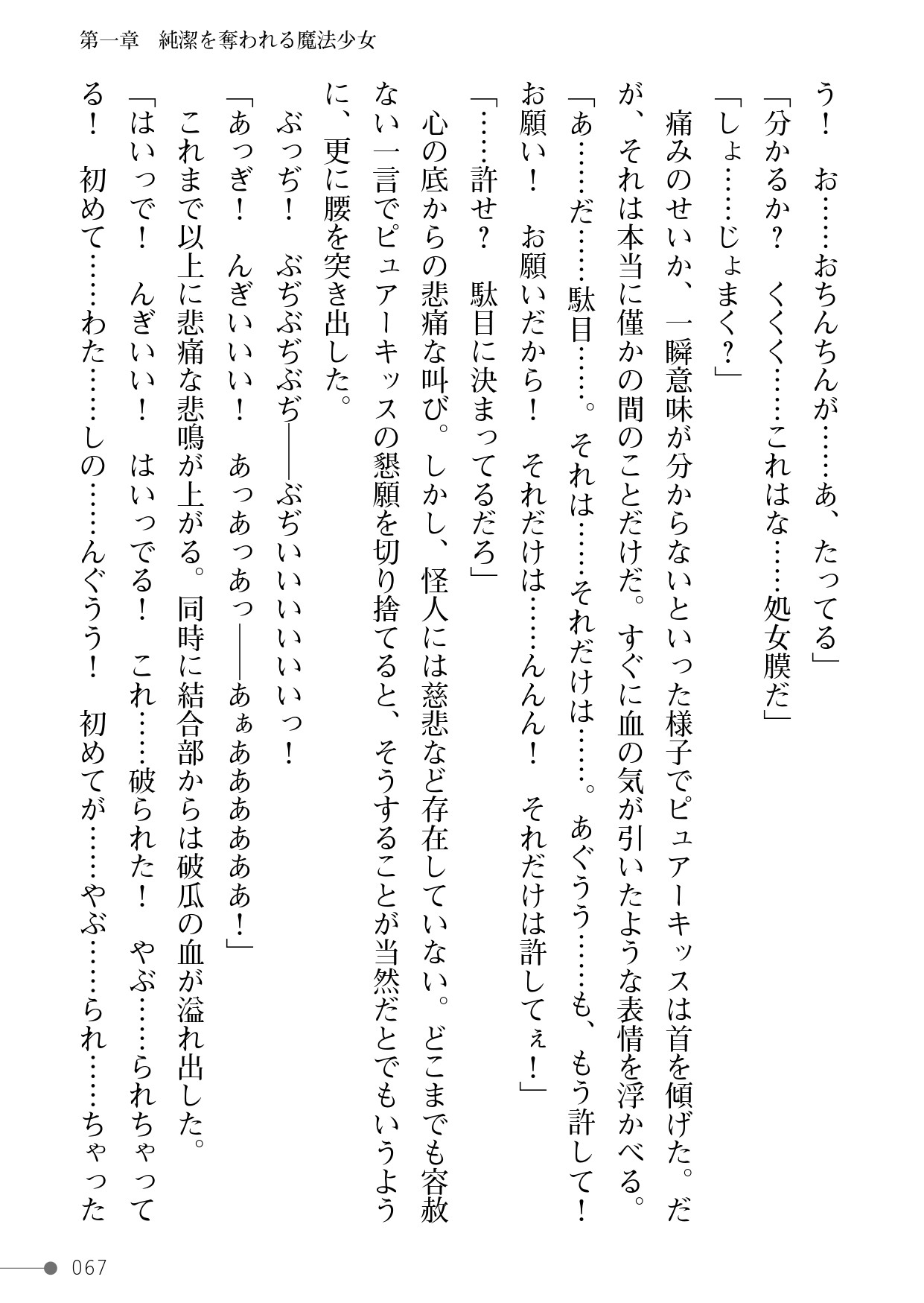 Page 67