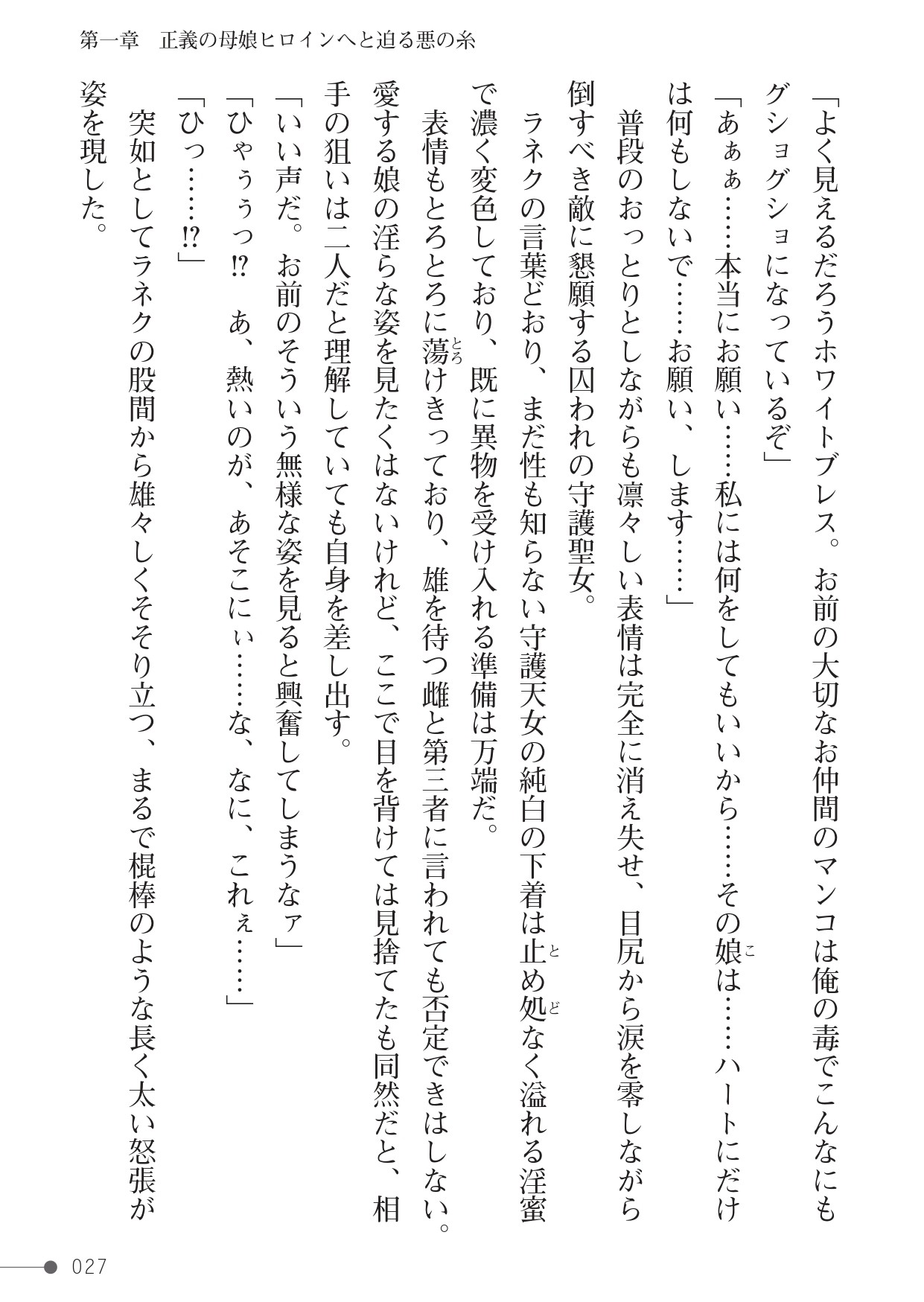 Page 27