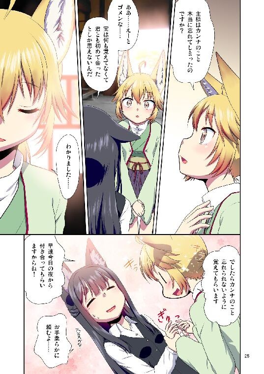 Page 25
