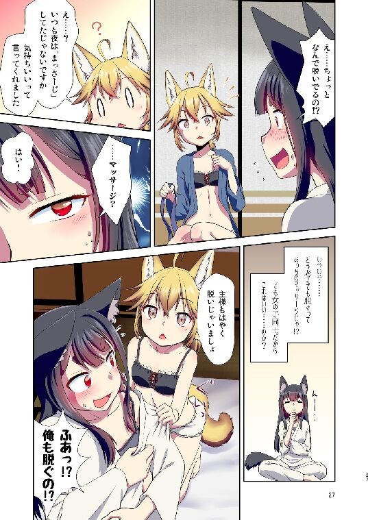 Page 27