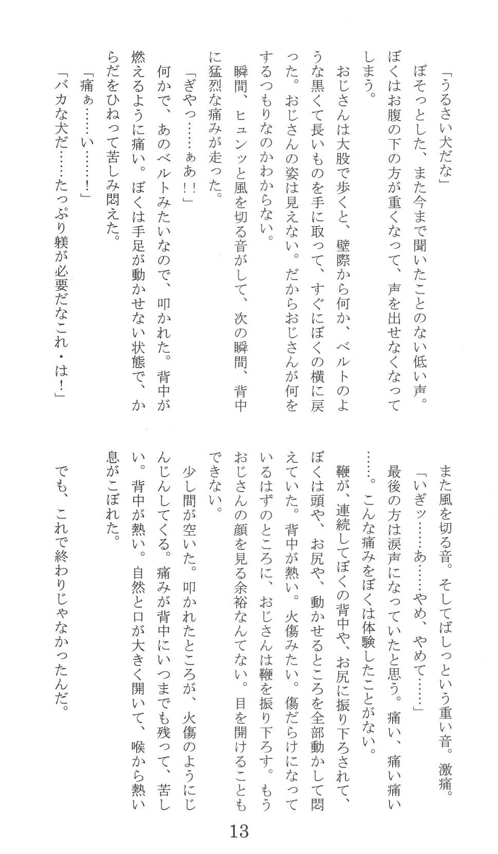 Page 13