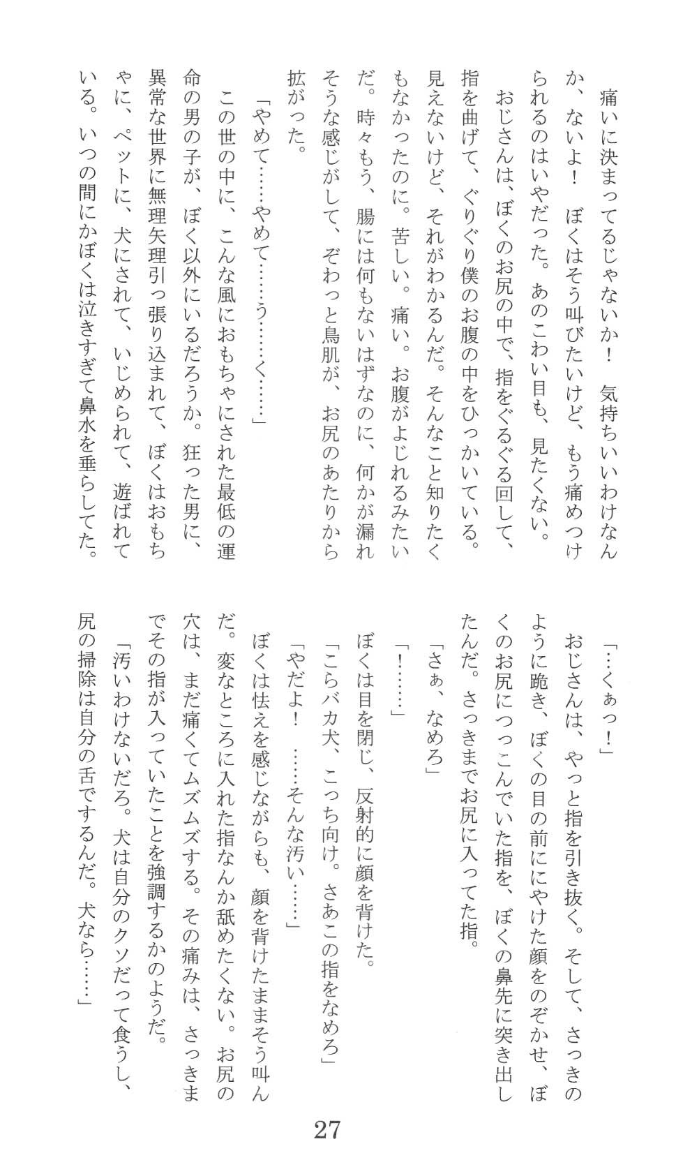 Page 27