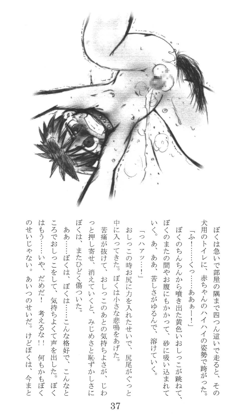 Page 37