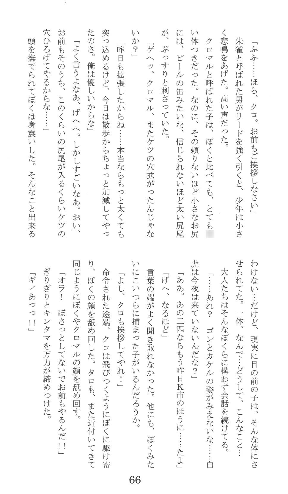 Page 66