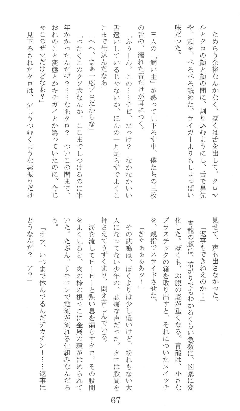 Page 67