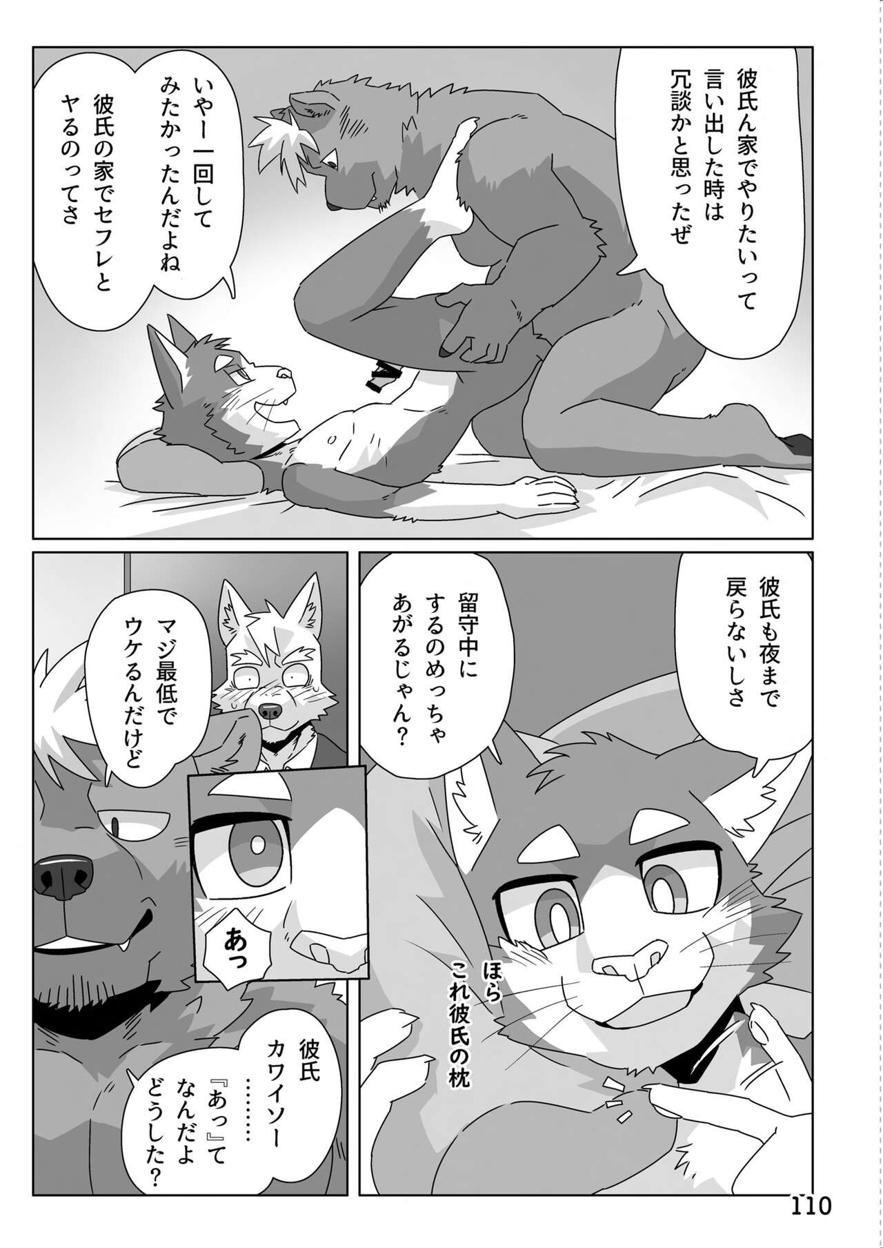 Page 111