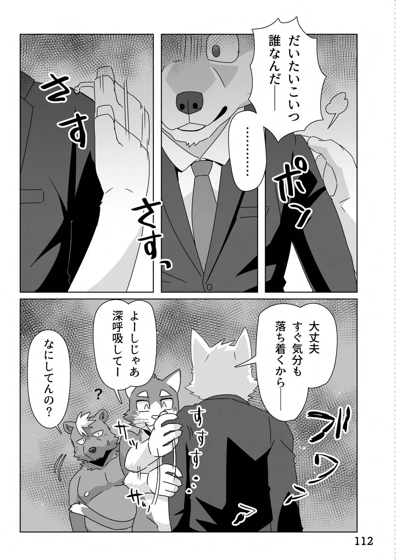 Page 113