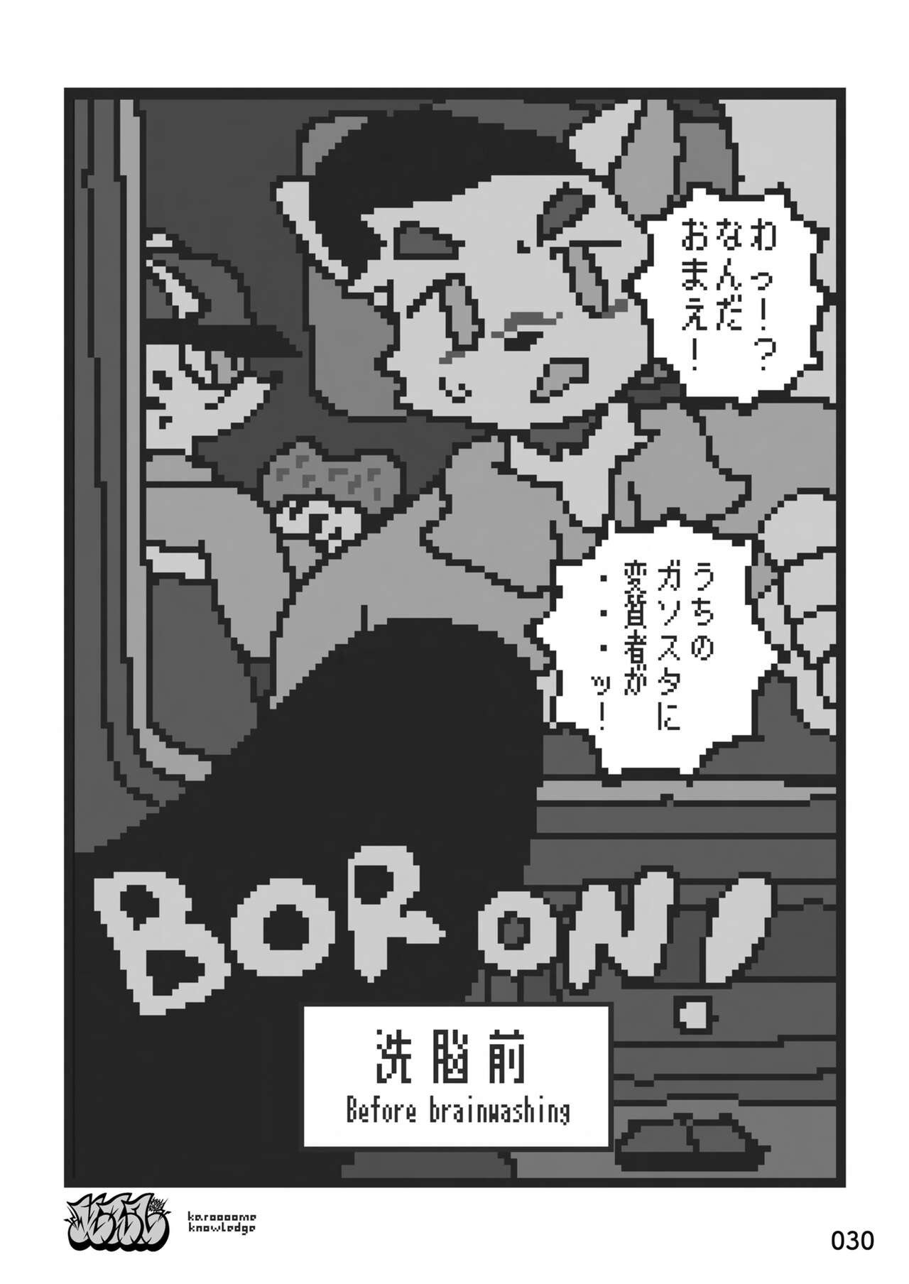 Page 31