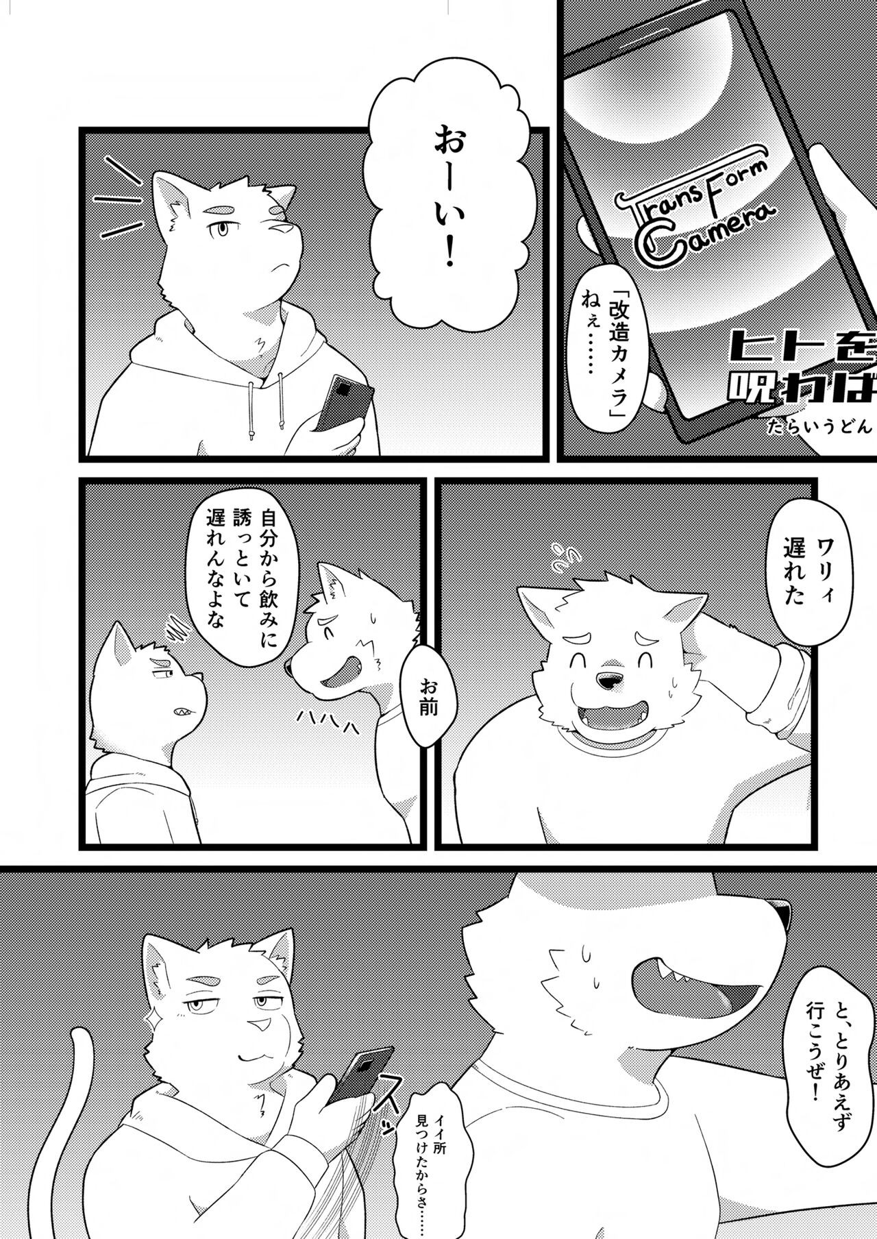 Page 51