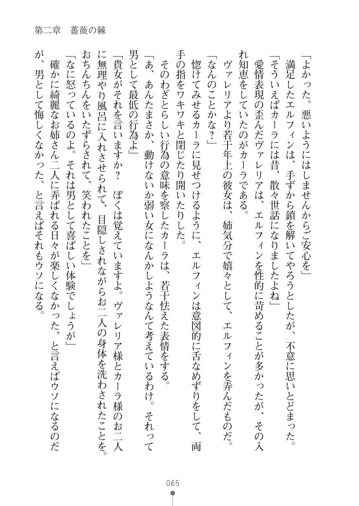 Page 65