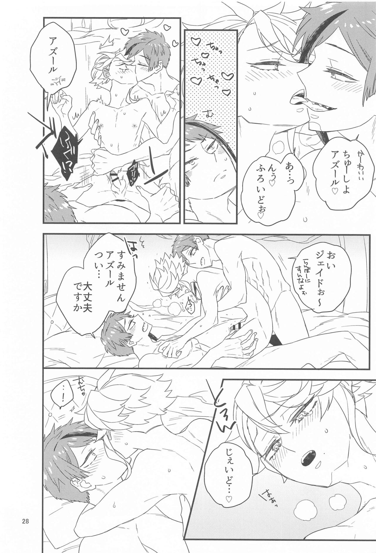 Page 27