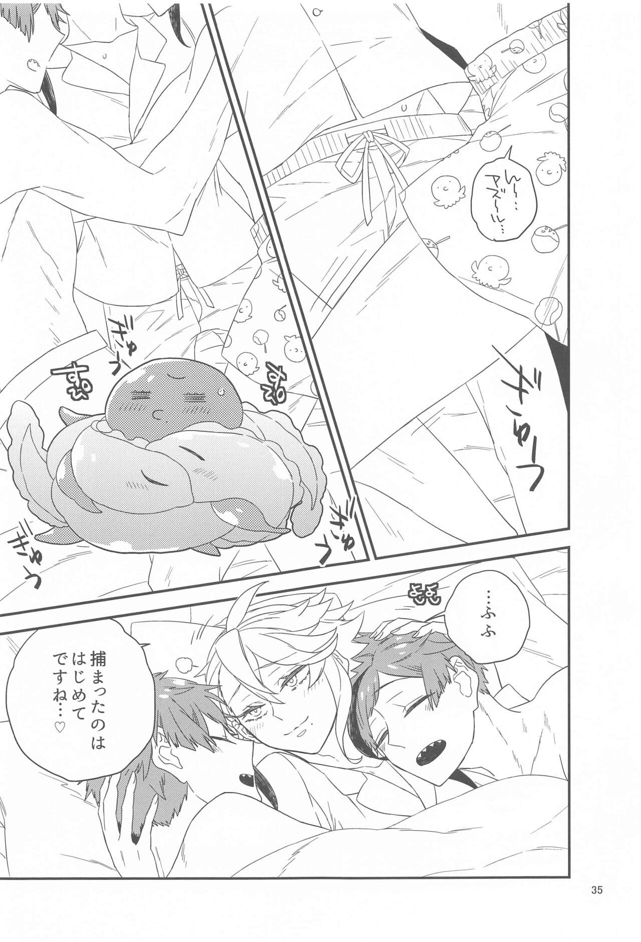 Page 34