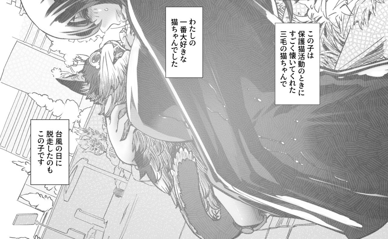 Page 349