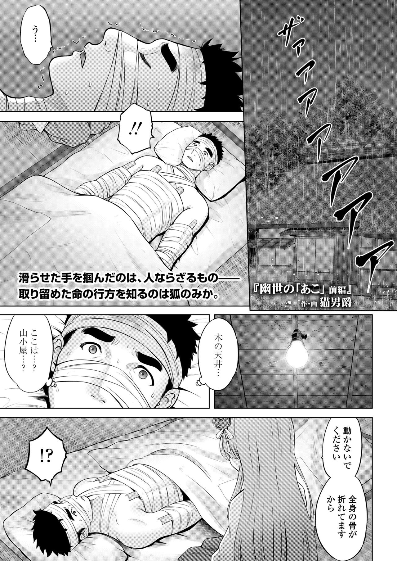 Page 447