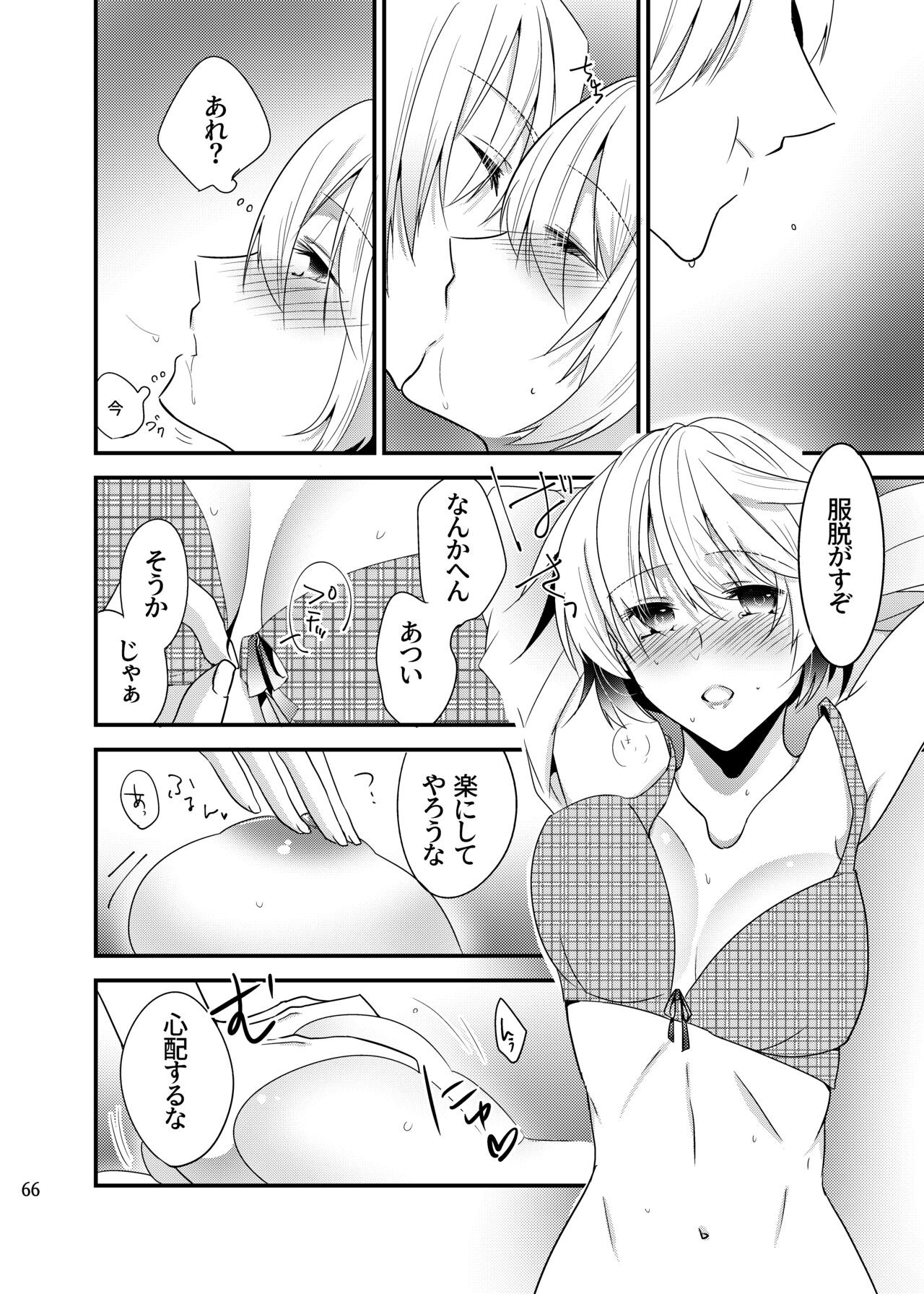 Page 65