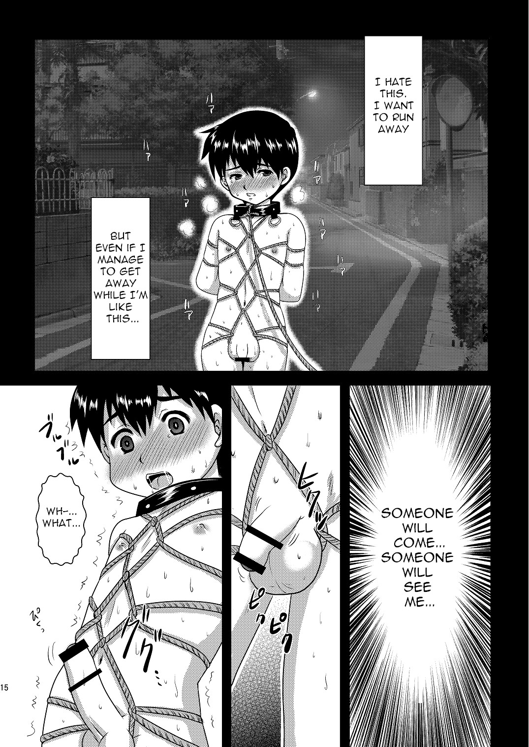 Page 15