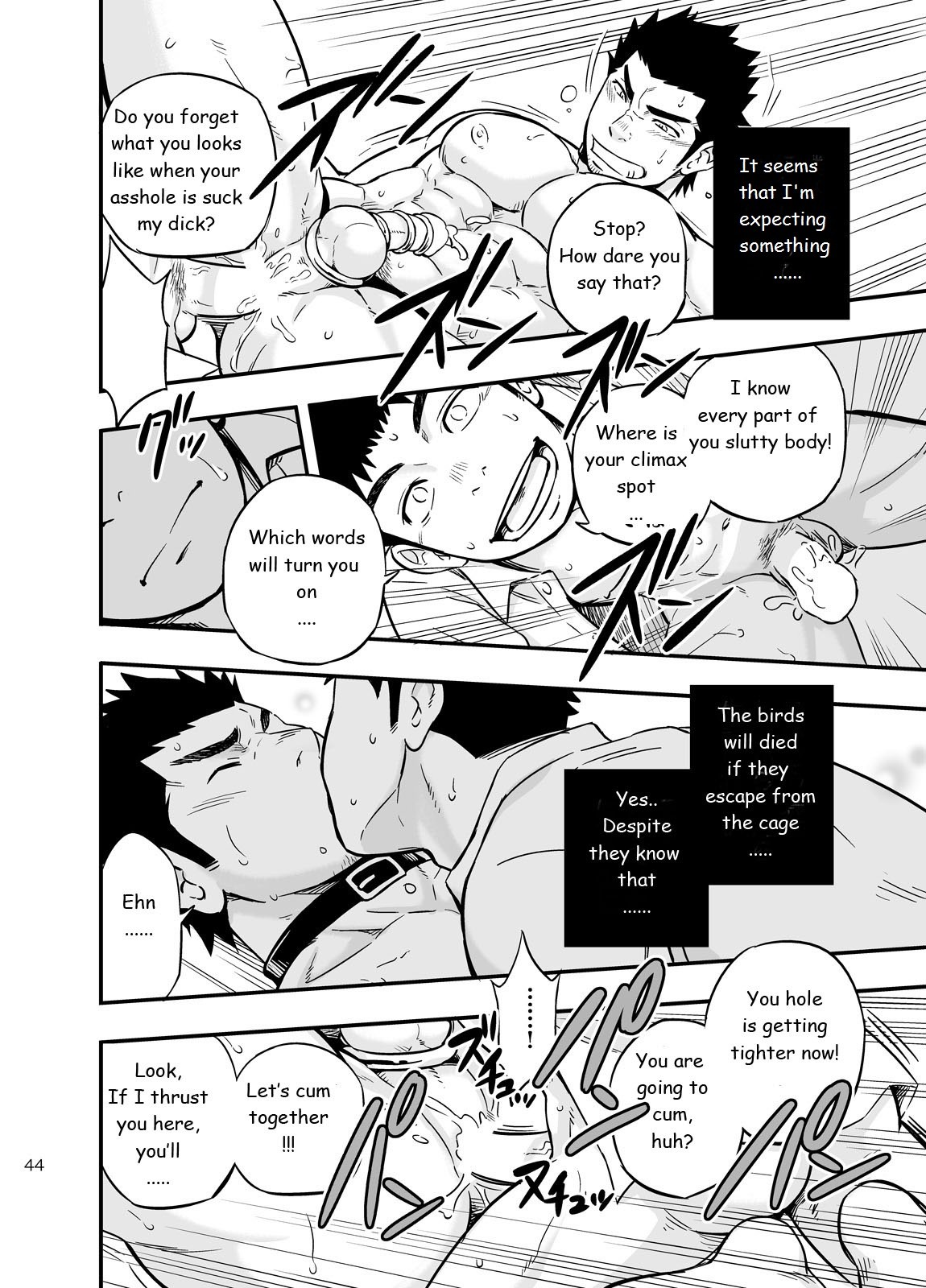 Page 43