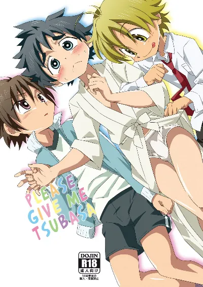(Shota Scratch SP2) Tsubasa o Kudasai {Hataraki Bachi Translations}