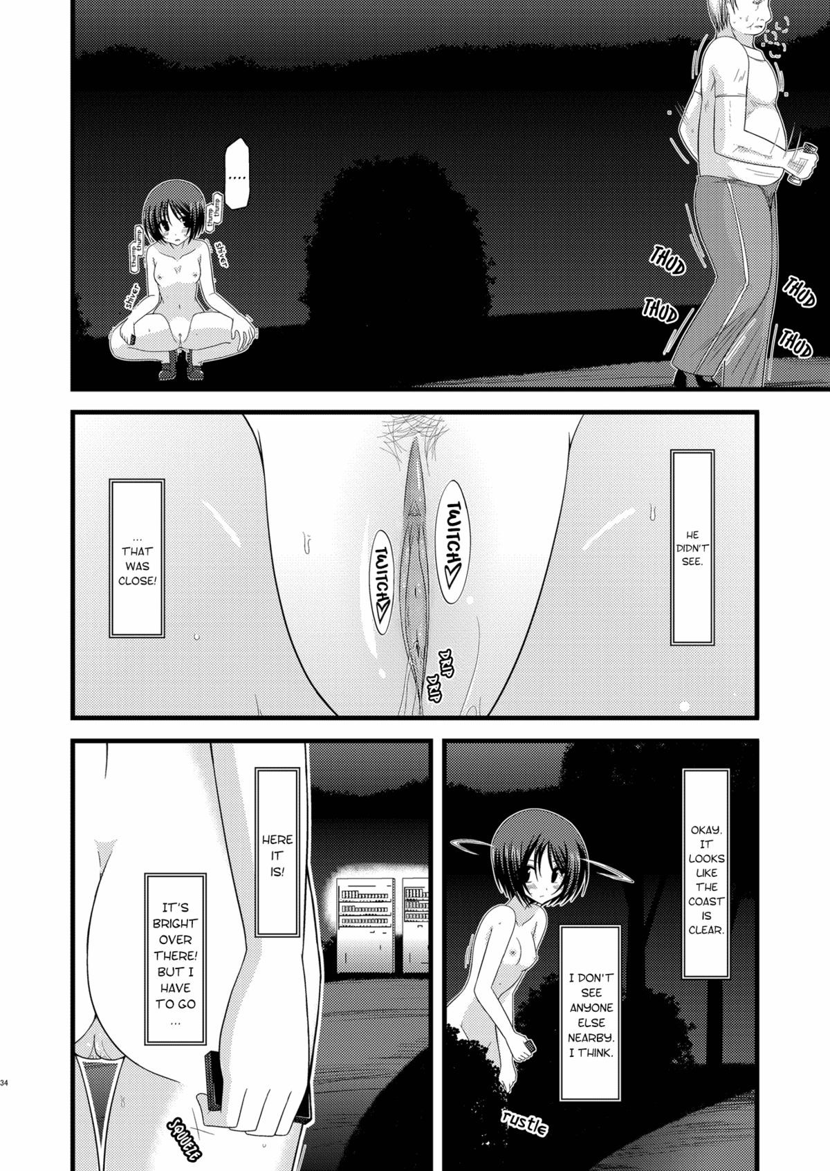 Page 33