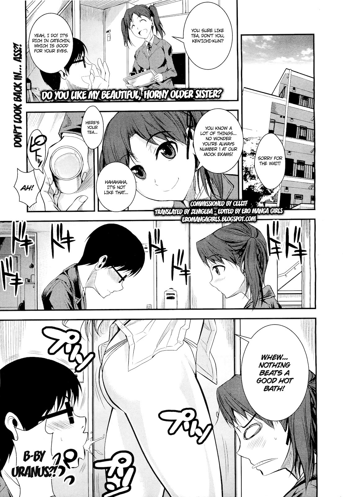 Kirei de Yarashii Oneesan wa, Suki Desuka? | Do You Like My Beautiful, Horny Older Sister? (COMIC Megastore 2011-05)
