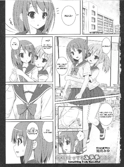 Sore wa Totemo Suteki na Koto | Something Truly Beautiful (Ki Yuri -Falling in Love with a Classmate)