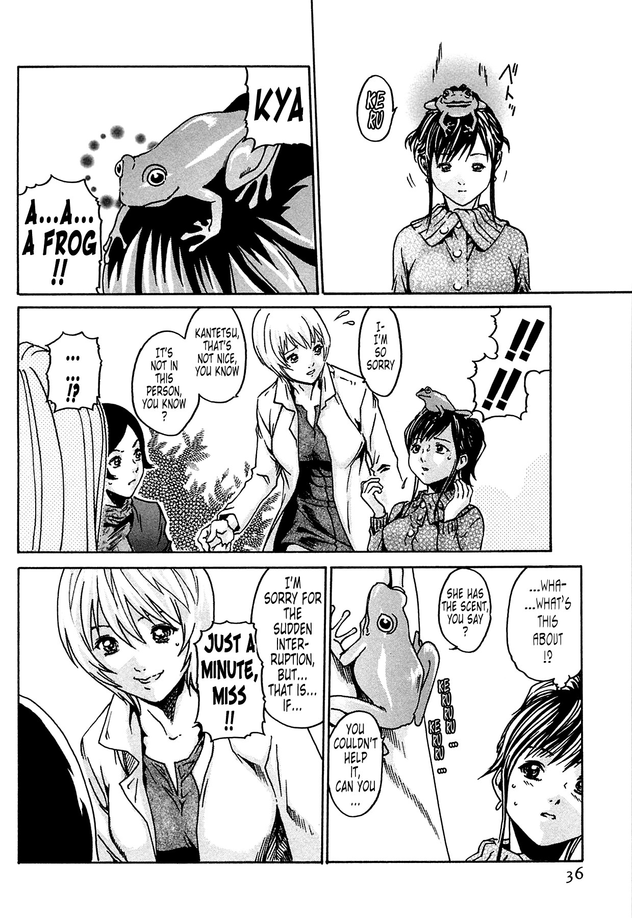 Page 36
