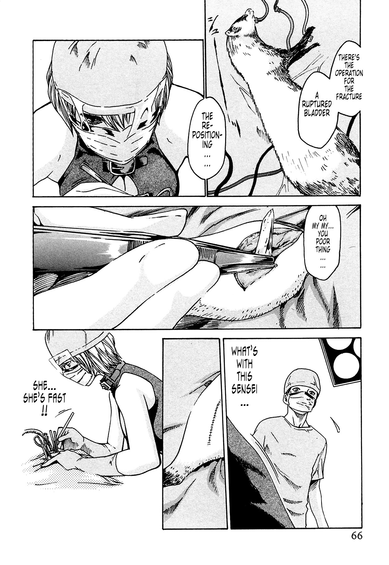 Page 66