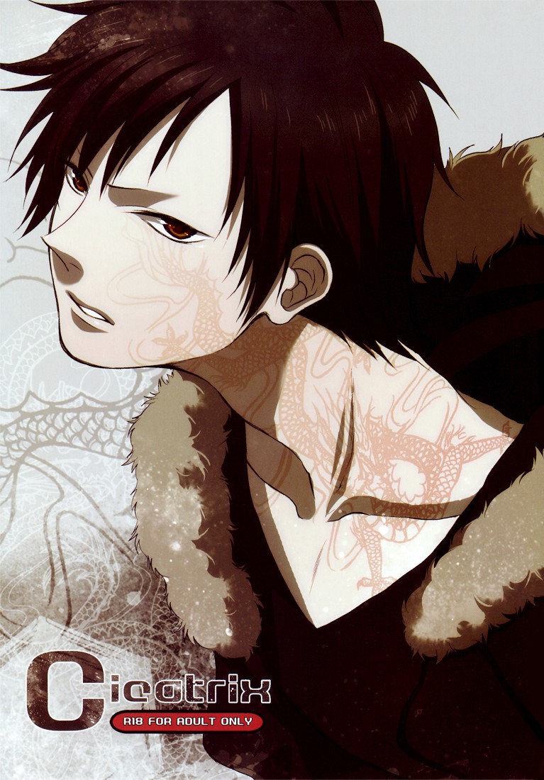 (GOOD COMIC CITY 17) Cicatrix (Durarara!!)