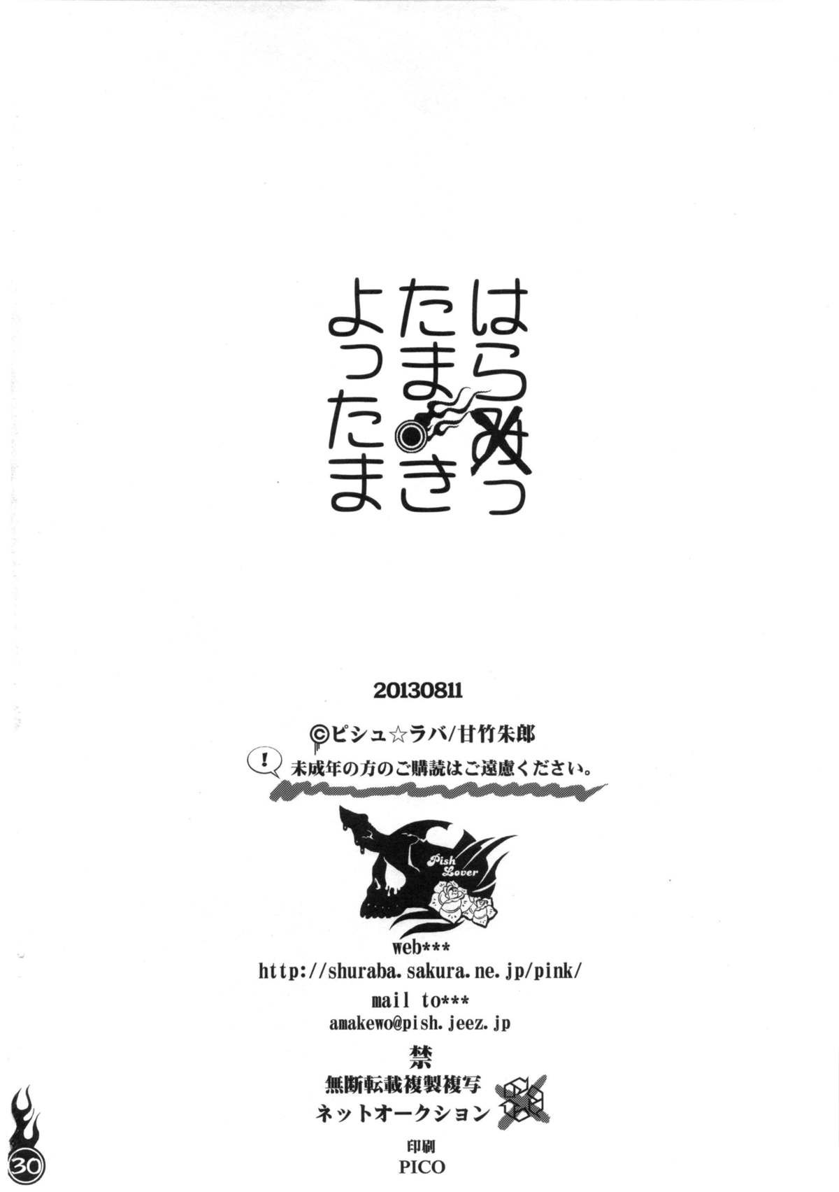 Page 29